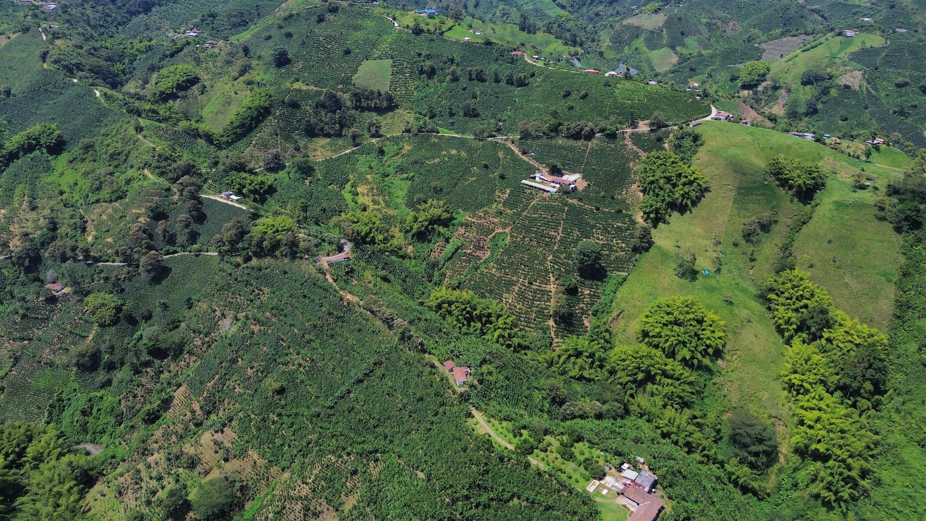 Risaralda TOFFEE